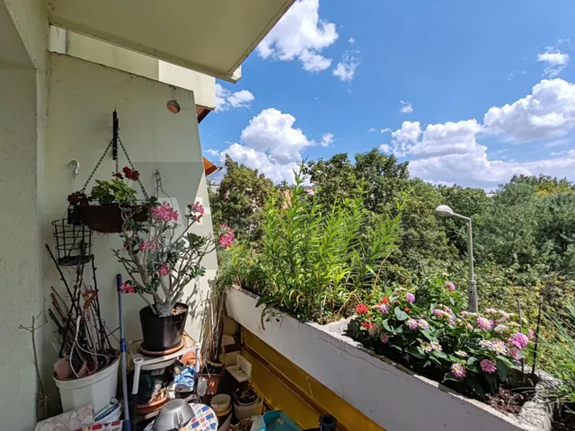 Eladó lakás Szeged, Tarján 55 nm