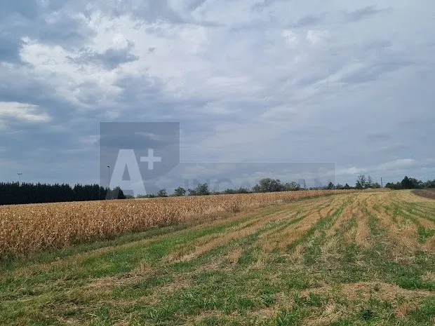 Eladó telek Szeged, Szentmihály 3176 nm
