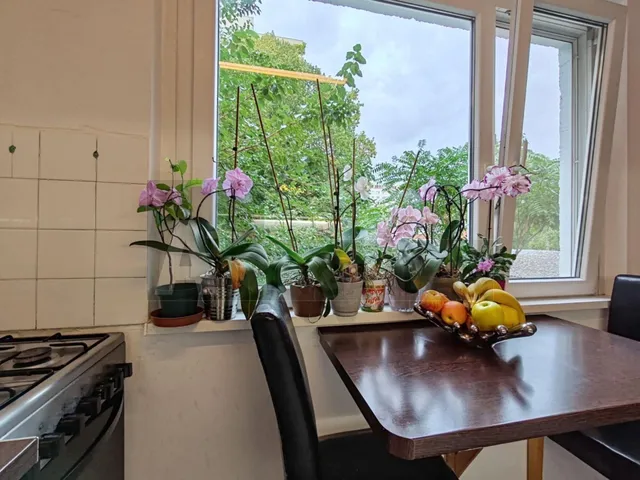 Eladó lakás Szeged, Tarján 53 nm