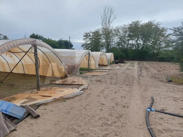 Eladó telek Balástya 12146 nm