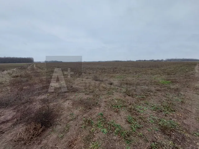 Eladó mezőgazdasági ingatlan Balástya 20 nm