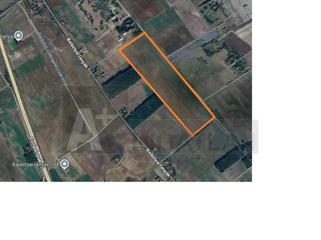 Eladó mezőgazdasági ingatlan Balástya 20 nm