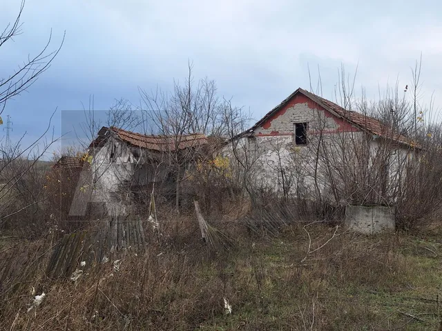 Eladó mezőgazdasági ingatlan Balástya 13758 nm