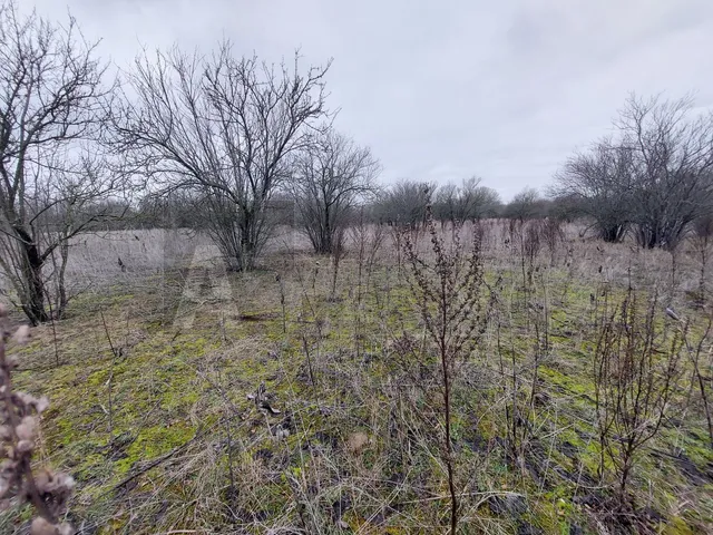 Eladó mezőgazdasági ingatlan Röszke 1 nm