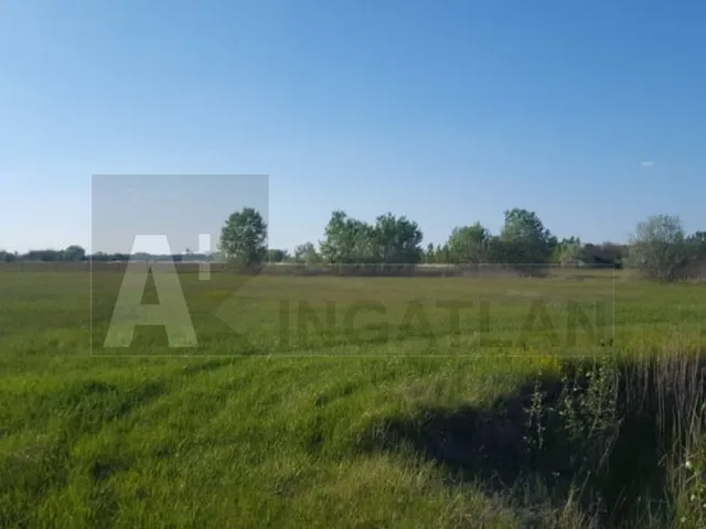 Eladó mezőgazdasági ingatlan Bordány 7 nm