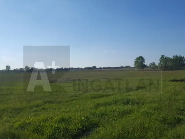 Eladó mezőgazdasági ingatlan Bordány 7 nm