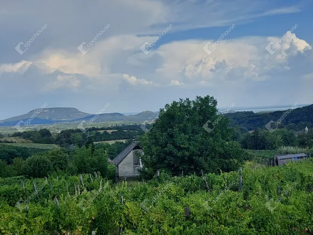 Eladó mezőgazdasági ingatlan Lesencefalu 63 nm