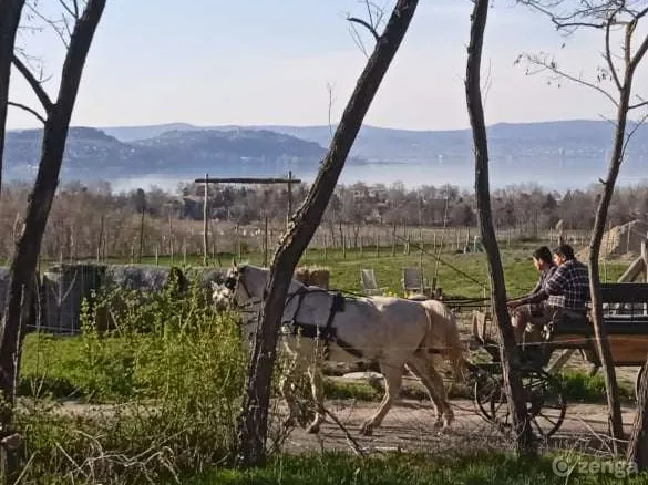 Eladó telek Zamárdi, Kőhegy 721 nm