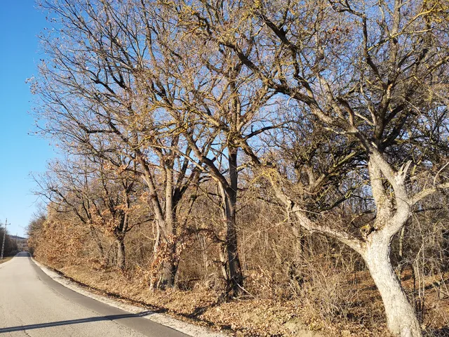 Eladó telek Balatonudvari 4048 nm