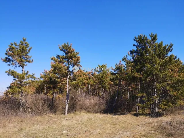 Eladó telek Veszprém 5979 nm