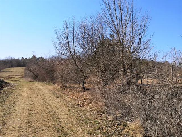 Eladó telek Szentkirályszabadja 517 nm