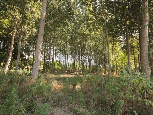 Eladó telek Ukk, Kossuth Lajos utca 7128 nm