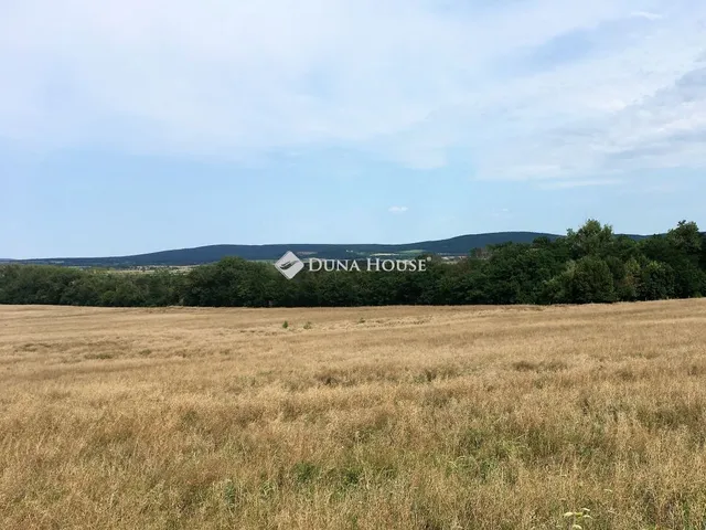 Eladó telek Mindszentkálla 3997 nm