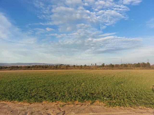 Eladó telek Veszprém 33784 nm