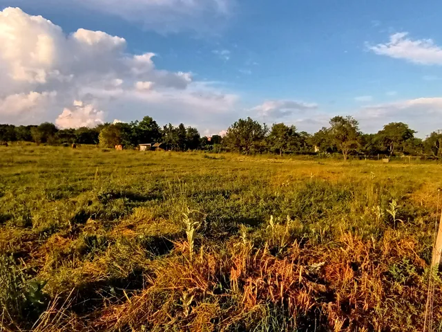 Eladó telek Balatonalmádi 3000 nm