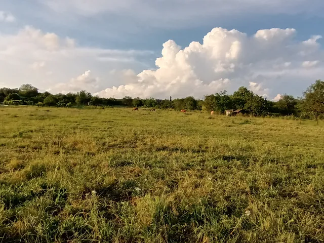 Eladó telek Balatonalmádi 3000 nm