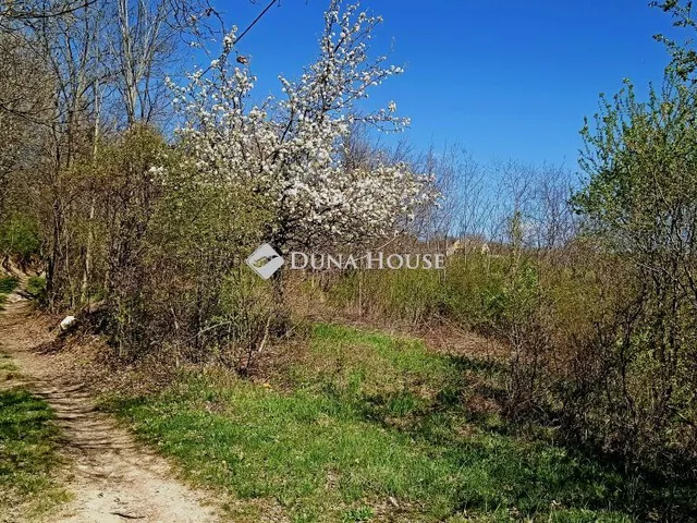 Eladó telek Pécsely 2017 nm