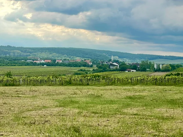 Eladó telek Szentantalfa 16911 nm