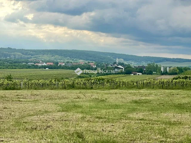 Eladó telek Szentantalfa 16911 nm