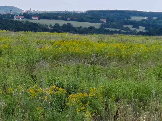 Eladó telek Nagyvázsony 100000 nm