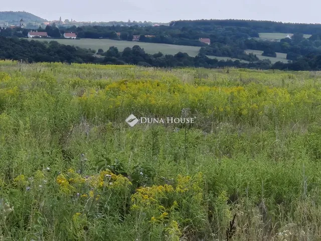 Eladó telek Nagyvázsony, Nincs utca 50000 nm
