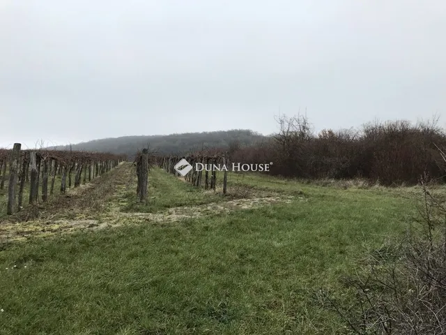 Eladó telek Szentjakabfa 8638 nm