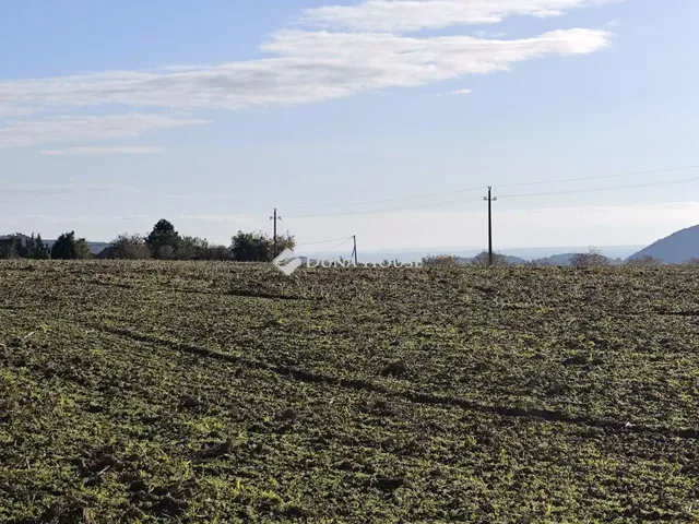 Eladó mezőgazdasági ingatlan Szentkirályszabadja, Nincs utca 3228 nm