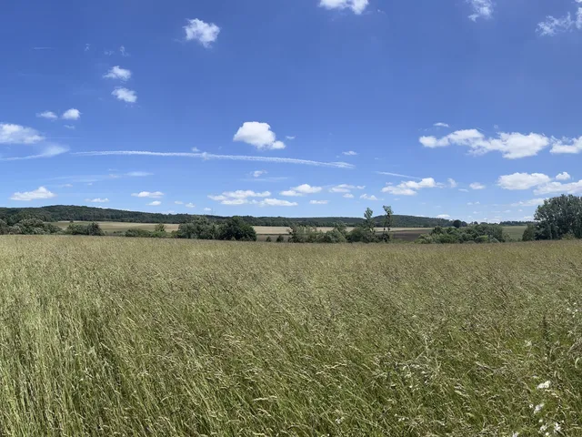 Eladó mezőgazdasági ingatlan Pénzesgyőr 67925 nm