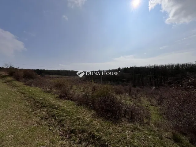 Eladó telek Dörgicse 60250 nm