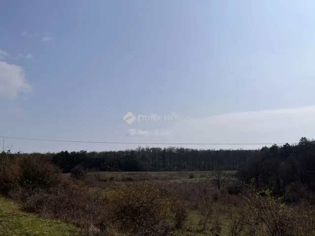 Eladó telek Dörgicse 60250 nm