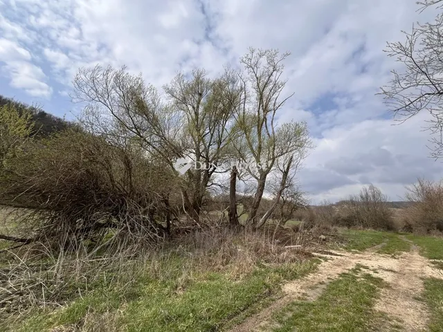 Eladó telek Vászoly 7096 nm