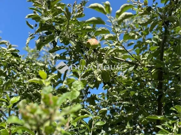 Eladó telek Szentkirályszabadja 1332 nm