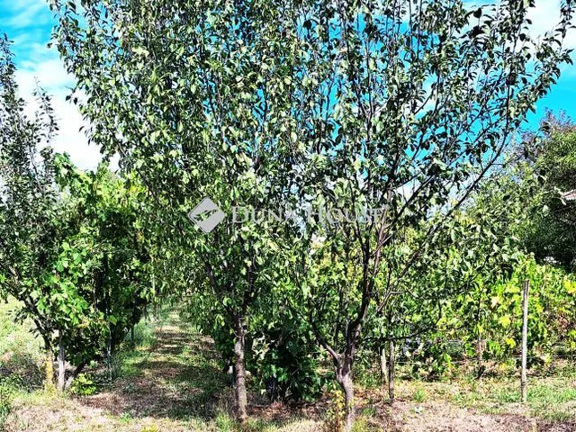 Eladó telek Öskü, Nincs utca 1011 nm