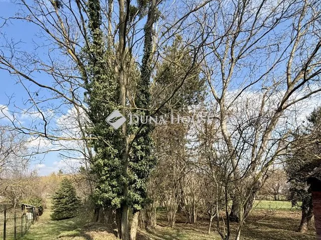 Eladó telek Vászoly 1569 nm