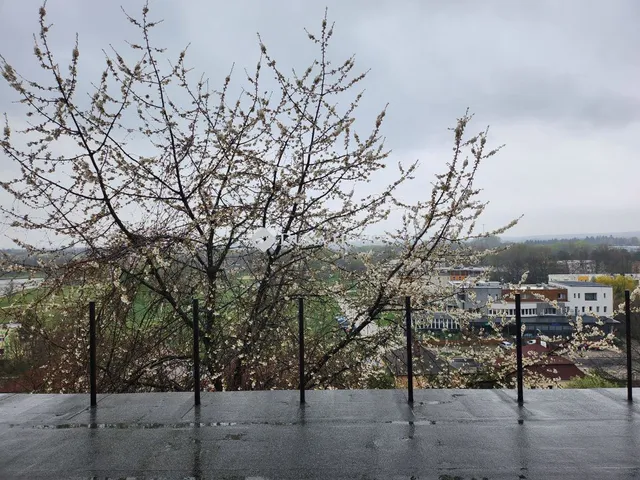 Eladó ház Ajka 170 nm