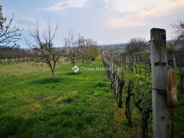 Eladó mezőgazdasági ingatlan Berhida 30 nm