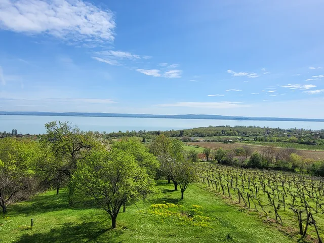 Eladó üdülő és hétvégi ház Balatonszepezd 90 nm