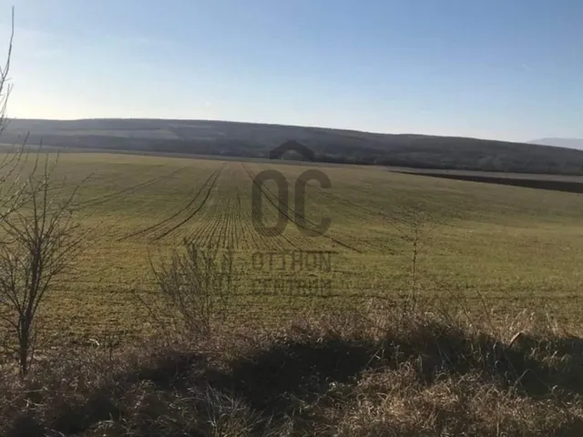 Eladó mezőgazdasági ingatlan Gyömrő 7423 nm
