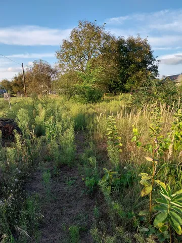 Eladó telek Sülysáp, Szőlősnyaraló 785 nm