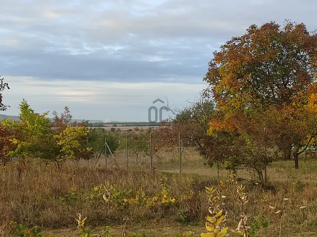 Eladó telek Sülysáp 2470 nm