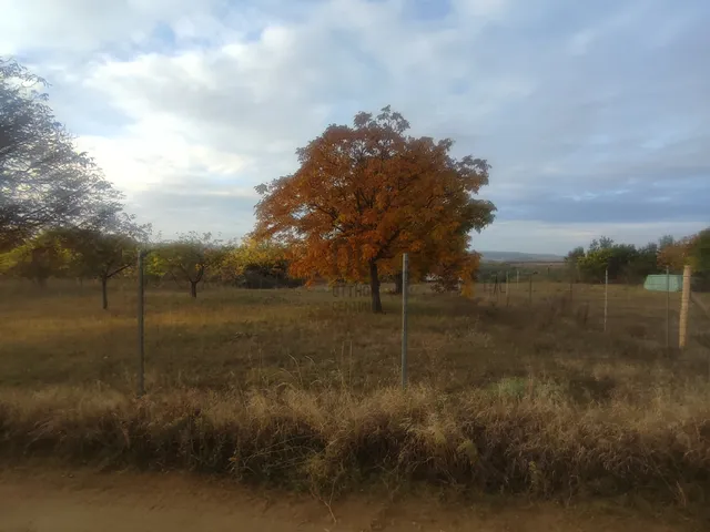 Eladó telek Sülysáp 2470 nm