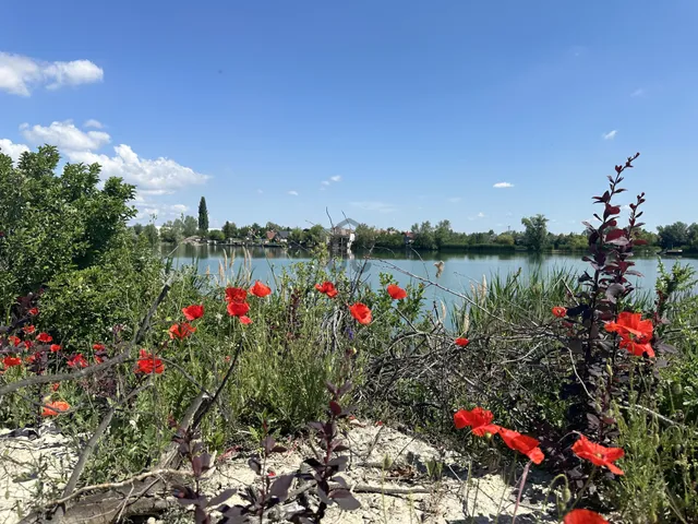 Eladó telek Szigetszentmiklós 2439 nm