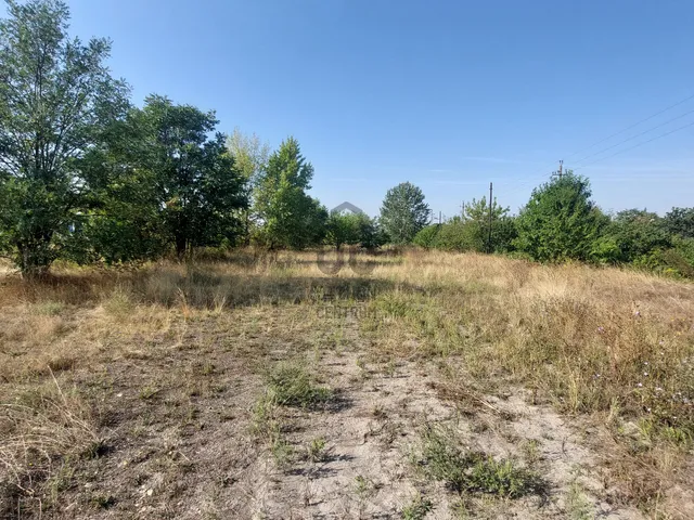 Eladó mezőgazdasági ingatlan Gyömrő 7194 nm