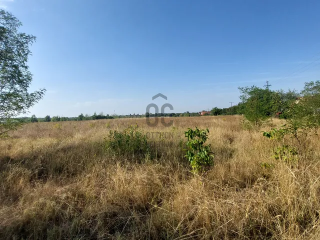 Eladó mezőgazdasági ingatlan Gyömrő 7194 nm