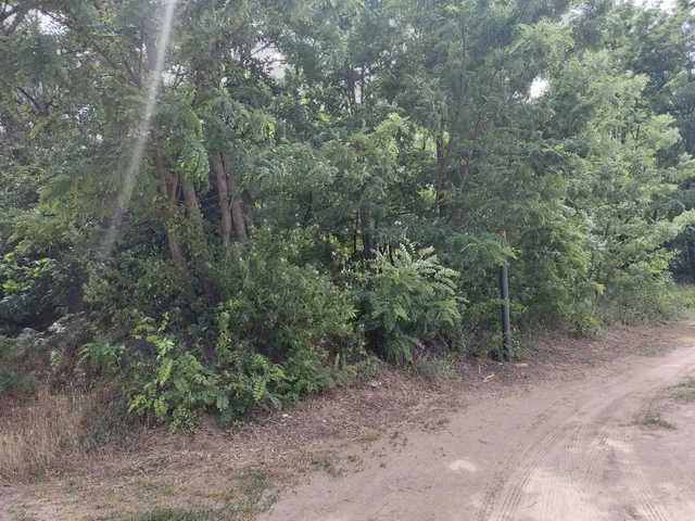 Eladó telek Dabas 2449 nm
