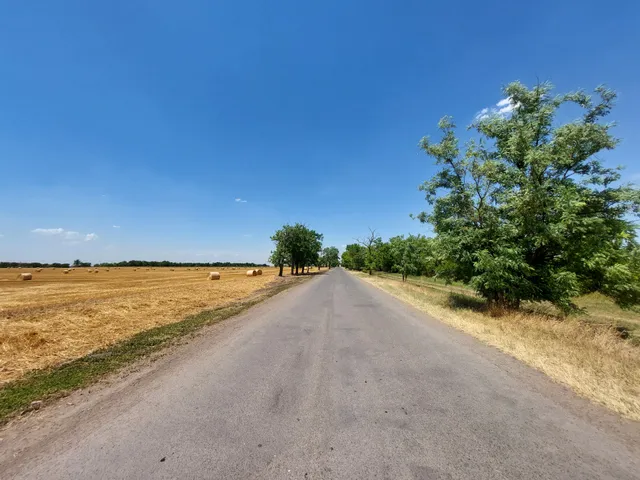 Eladó mezőgazdasági ingatlan Makó 12040 nm