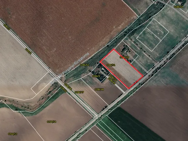 Eladó mezőgazdasági ingatlan Makó 11076 nm