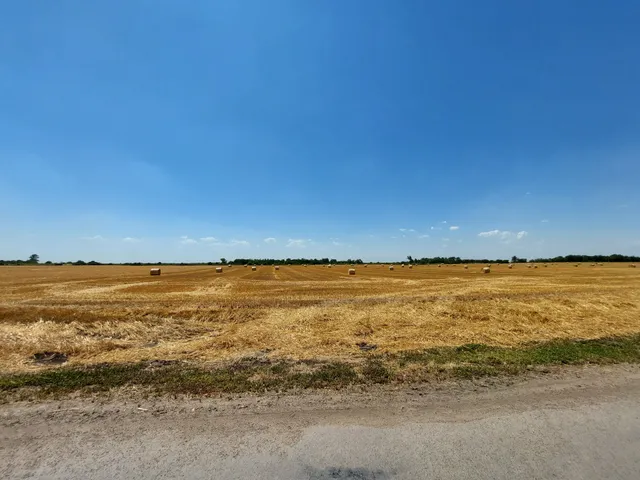 Eladó mezőgazdasági ingatlan Makó 11076 nm