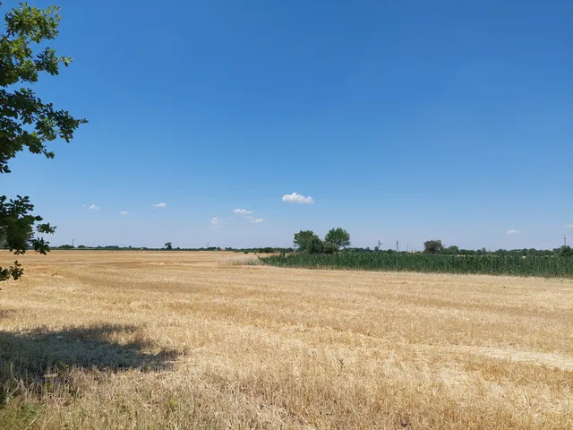Eladó mezőgazdasági ingatlan Makó 1475 nm