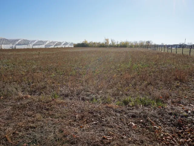 Eladó telek Tiszasziget, Aradi 10165 nm